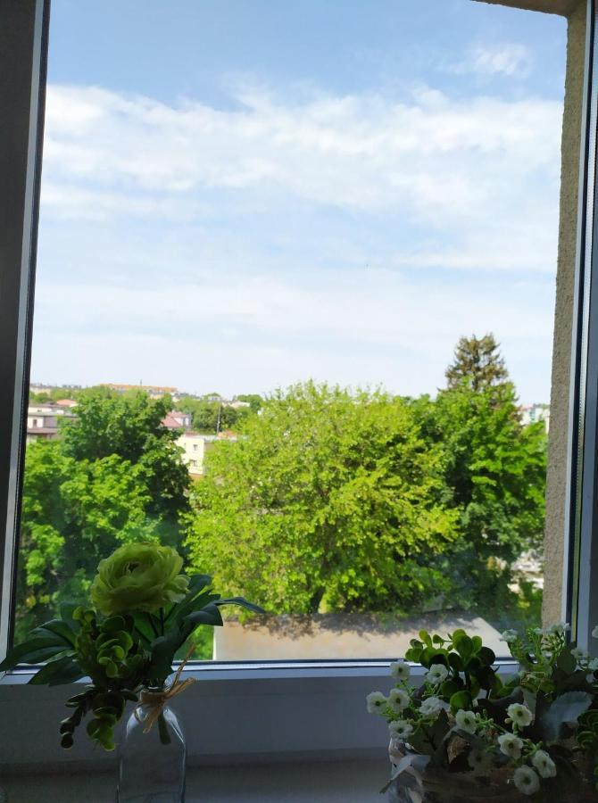 Apartment Juliusz